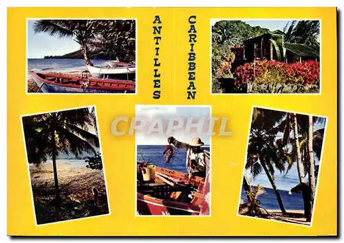 Cartes postales moderne Antilles Caribbean
