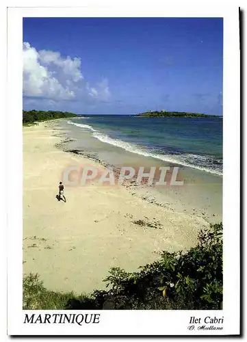 Cartes postales moderne Martinique Ilet Cabri