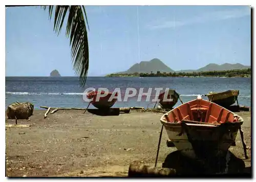 Cartes postales moderne Martinique L'Anse Figuier Barques de peche au fond le Diamant