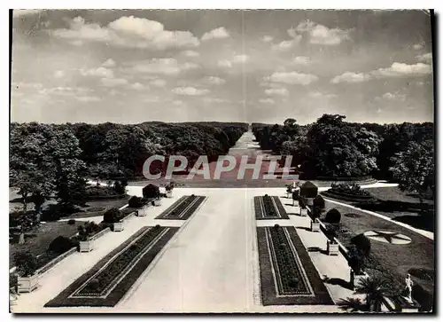 Cartes postales moderne Compiegne Le Parc L'Allee des Beaux Morts