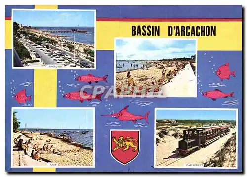 Cartes postales moderne Bassin d'Arcachon Gironde Poissons Train Cap Ferret Ares