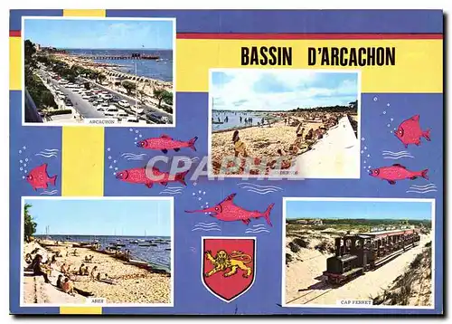 Moderne Karte Bassin d'Arcachon Gironde Poissons Train Cap Ferret Ares