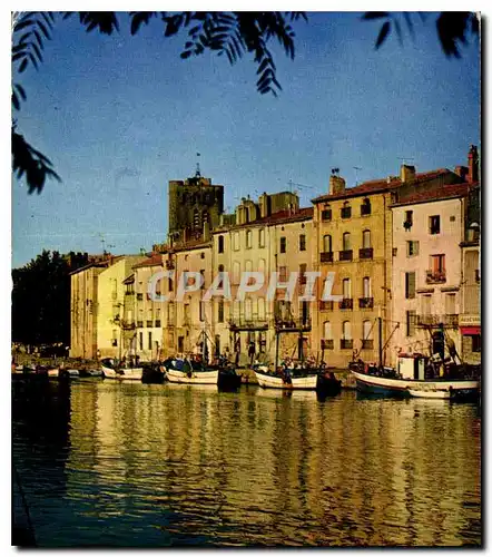 Cartes postales moderne Littoral Languedocien Agde Le soir decline sur la rive