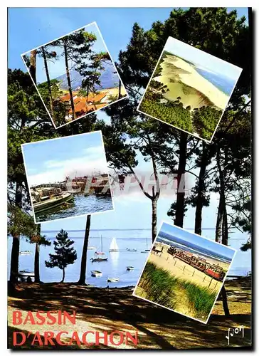 Cartes postales moderne Bassin d'Arcachon Gironde Pointe aux Chevaux