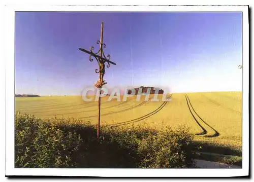 Cartes postales moderne Les Semaines Regionales De l'Environment Picardie