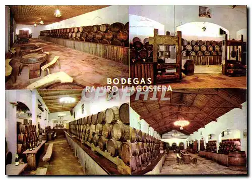 Cartes postales moderne Bodegas Ramiro Llagostera Costa Brava Espana