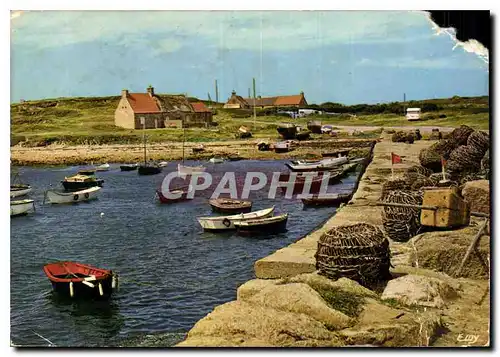 Cartes postales moderne Fermanville Manche Le port Levy