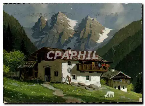 Cartes postales moderne Autriche Agneau