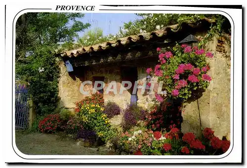 Cartes postales moderne Au Soleil de la Cote d'Azur le Petite Maison fleurie