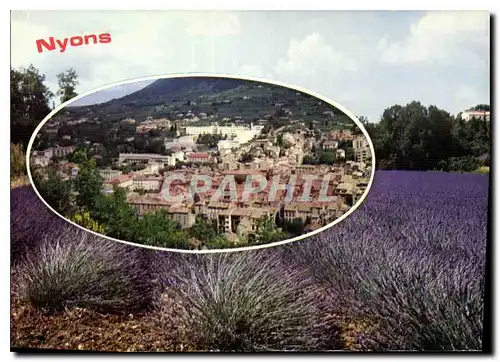 Cartes postales moderne Nyons Drome