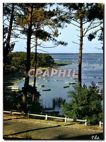 Moderne Karte Bassin d'Arcachon Gironde Echappee sur le Bassin