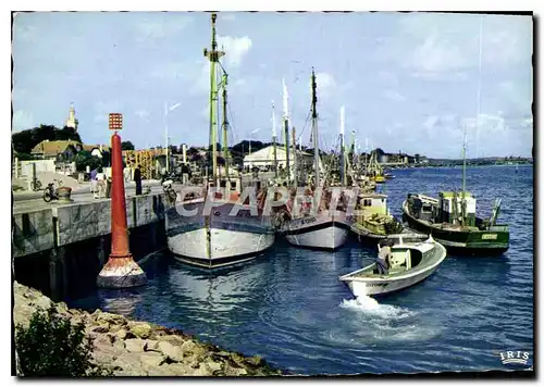 Cartes postales moderne Arcachon le Port Bateaux de peche