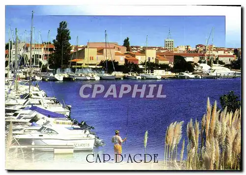 Cartes postales moderne La Mediterranee le Cap d'Agde Herault