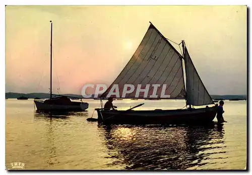 Moderne Karte Bassin d'Arcachon le Soir les voiliers