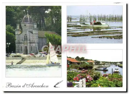 Cartes postales moderne Bassin d'Arcachon la Celebre Villa Algerienne les parcs a huitres et le village Typique de Pirai