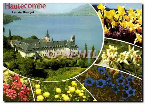 Cartes postales moderne L'Abbaye de Hautecombe et le Lac du Bourget Savoie