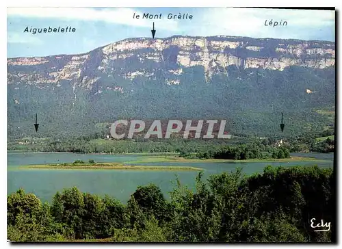 Cartes postales moderne Le Lac d'Aiguebelette Savoie les Iles en fond les villages d'Aiguebelette et de Lepin domines pa