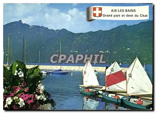 Cartes postales moderne Aix les Bains Savoie le Lac du Bourget au grand Port et la Dent du Chat Bateaux optimistes