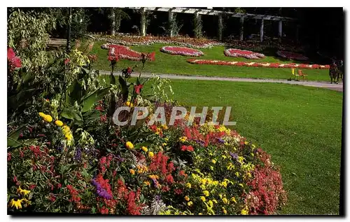 Cartes postales moderne Aix les Bains Savoie France ses Jardins fleuris