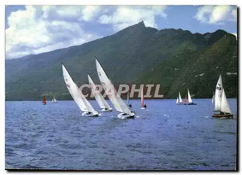 Cartes postales moderne Regates a voiles sur le Lac du Bourget et la Dent du Chat