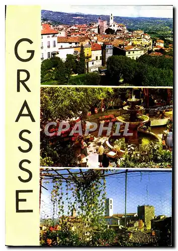 Cartes postales moderne Souvenir de Grasse