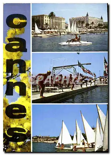 Cartes postales moderne Cannes Cote d'Azur Pedalo Plongeon Bateaux