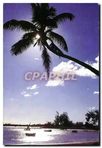 Cartes postales moderne L'Ile Maurice Mauritius Grand Baie
