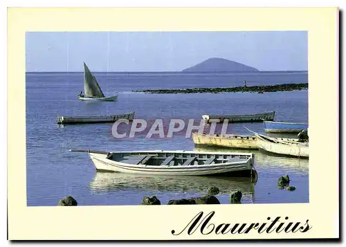 Cartes postales moderne L'Ile Maurice Mauritius Ile ronde vue de Grand Gaube