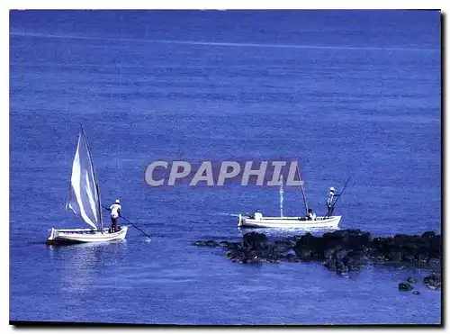 Cartes postales moderne Ile Maurice Photo C Laville