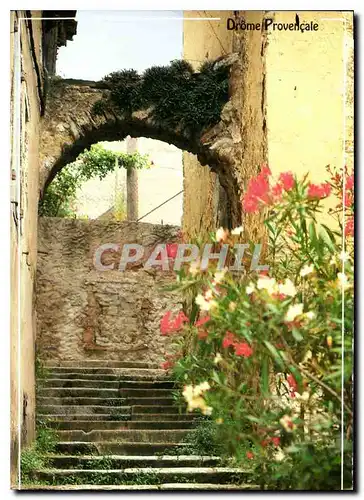 Cartes postales moderne Drome Provencale