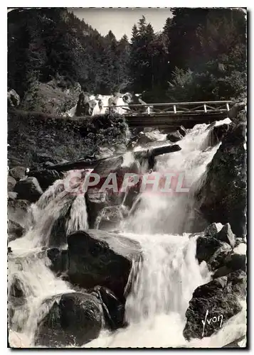 Cartes postales moderne Environs de Cauterets Htes Pyr Cascade de Lutour