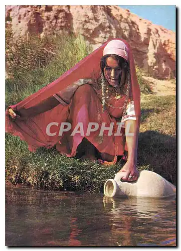 Cartes postales moderne Tunisie une Porteuse d'eau
