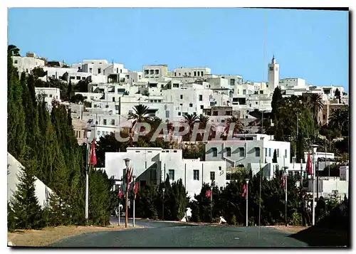 Moderne Karte Sidi Bou Said vue panoramique