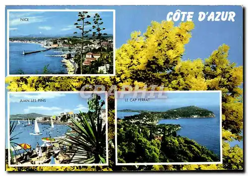 Cartes postales moderne Souvenir de la Cote d'Azur Nice Jean les Pins le Cap Ferrat