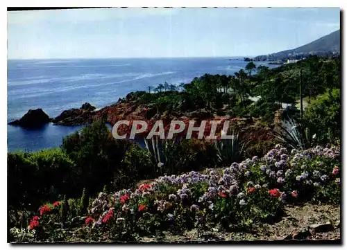 Cartes postales moderne Reflets de la Cote d'Azur la Cote Mediterraneenne Rivages Fleuris