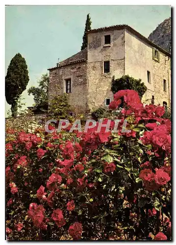 Cartes postales moderne Douce France Vieilles Pierres et fleurs de l'Arrieres Pays Mediterraneen