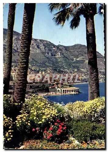 Cartes postales moderne Reflets de la Cote d'Azur Monte Carlo le Casino et le Tir aux Pigeons vus de la Porte Neuve