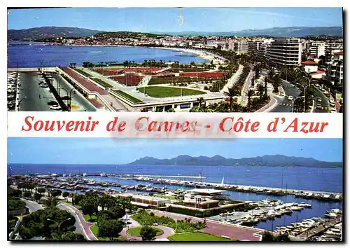 Cartes postales moderne Cannes Cote d'Azur vue generale de la Croisette