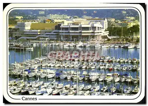 Cartes postales moderne Reflets de la Cote d'Azur Cannes le Port de Plaisance et le Palais des congres et des Festivals