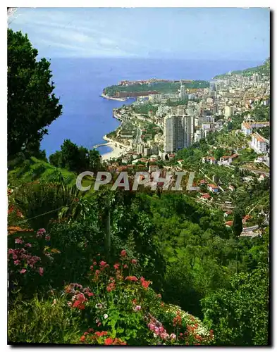 Cartes postales moderne Monte Carlo panorama