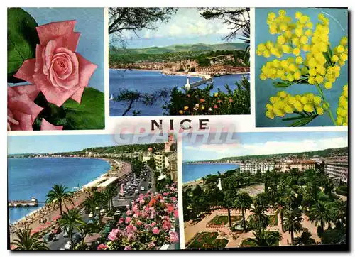 Cartes postales moderne Nice Cote d'Azur Souvenir de Nice