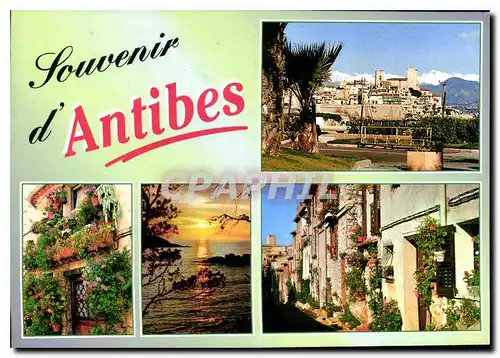 Cartes postales moderne Cote d'Azur Antibes