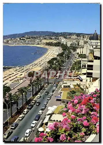 Cartes postales moderne Cote d'Azur Cannes Alpes Maritimes la Croisette et les Plages