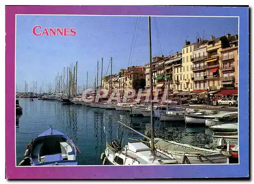 Cartes postales moderne La Cote d'Azur Cannes Alpes Maritimes Quai du Port Saint Pierre