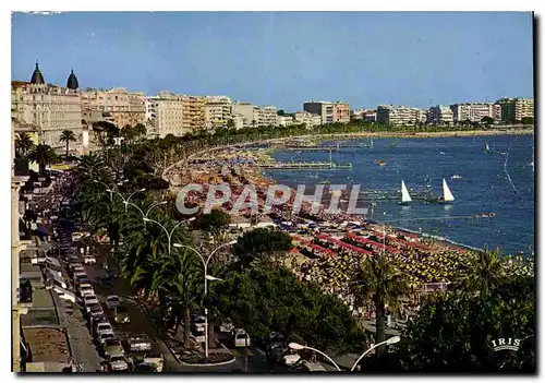 Cartes postales moderne Reflets de la Cote d'Azur Cannes A mmes vue panoramique de la Croisette