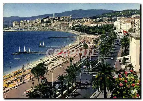 Cartes postales moderne La Cote d'Azur Cannes A M la Plage de la Croisette le Palais des Festivale et le Suquet vus du C