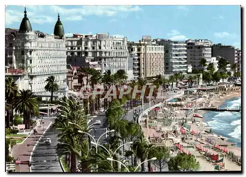 Cartes postales moderne Cote d'Azur Cannes la croisette et les Palaces