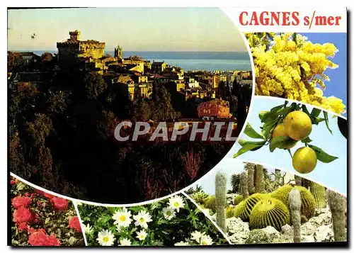 Cartes postales moderne La Cote d'Azur inoubliable Cagnes sur Mer