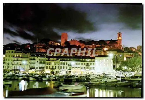 Cartes postales moderne Cannes Alpes Maritimes le vieux port et le Suquet en fin de journee