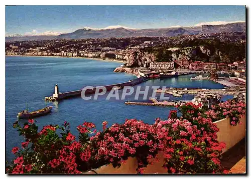 Cartes postales moderne Cote d'Azur French Riviera Nice Alpes Maritimes le vieux port et la Baie des Anges